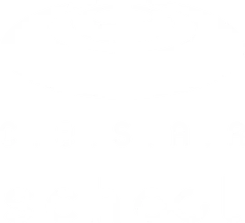 Logo CESAR School